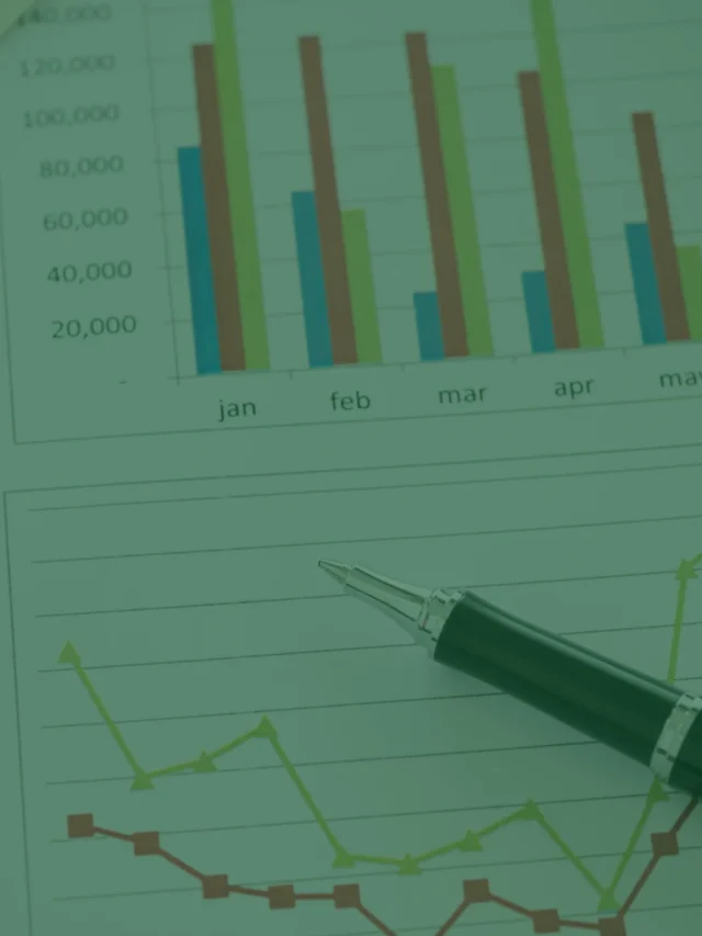 Carteira de investimentos completa para investidores iniciantes