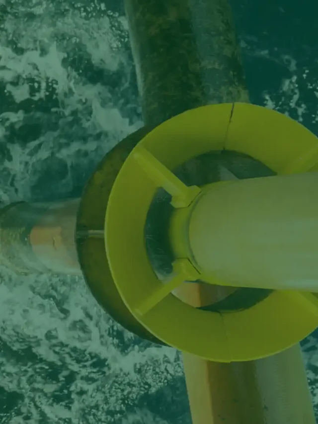 O que é serviço offshore